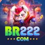 br222 - Premium Edition v2.1.6